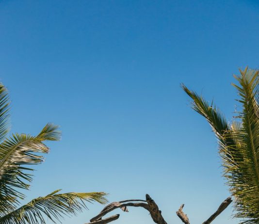 PamTour – Agenția de turism din Râmnicu Vâlcea care transformă visurile în vacanțe de neuitat